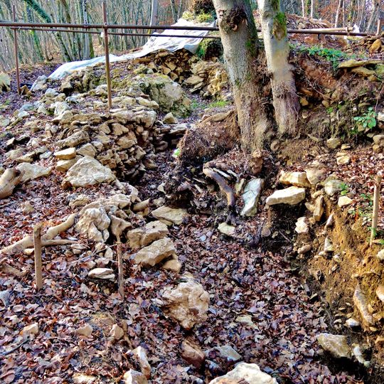 Habitat fortifié du bois de la Miotte
