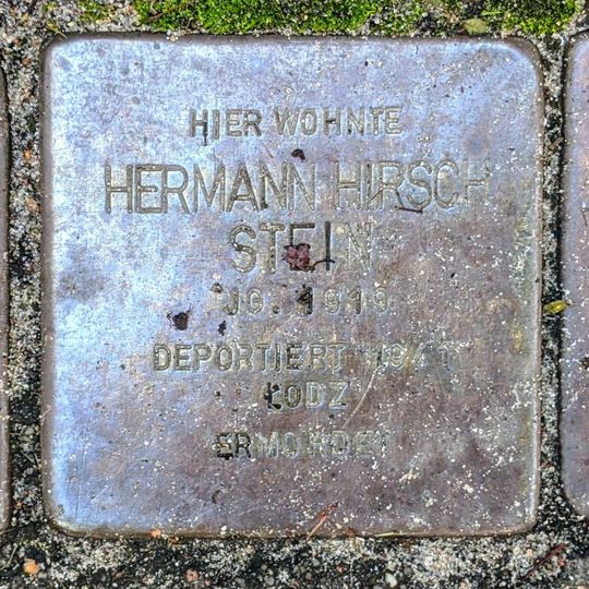 Stolperstein en memoria de Hermann Hirsch Stein