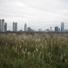 Reserva ecológica de Buenos Aires