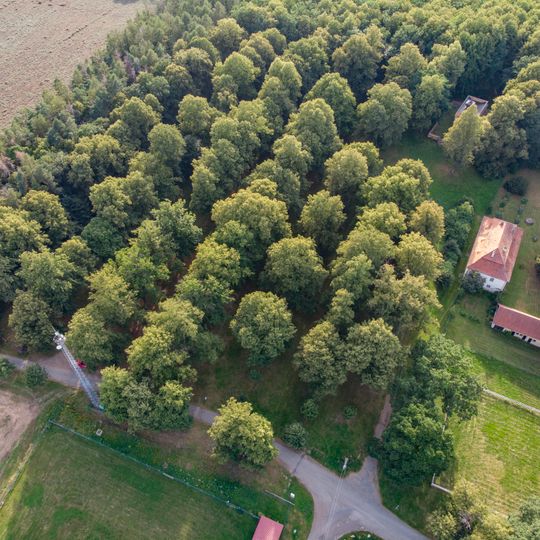 Památné stromy na Loretě