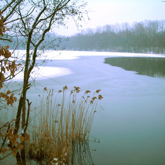 NSG Ober-, Mittel- und Untersee in der Ville-Seenkette