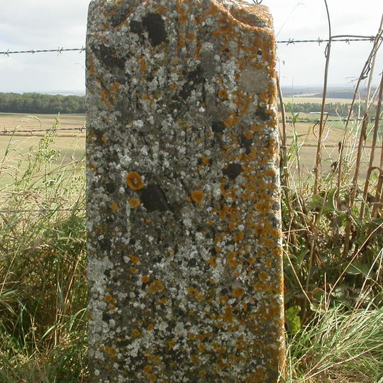 Milestone, between The Rookery & The Lawn; 400m S boundary pig farm