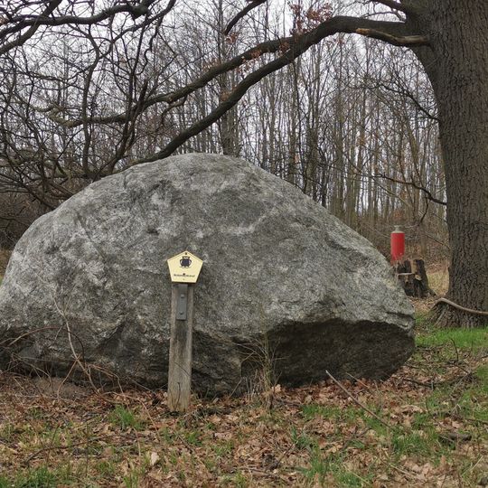 Glacial erratic rock near Birkenholz, Leipzig