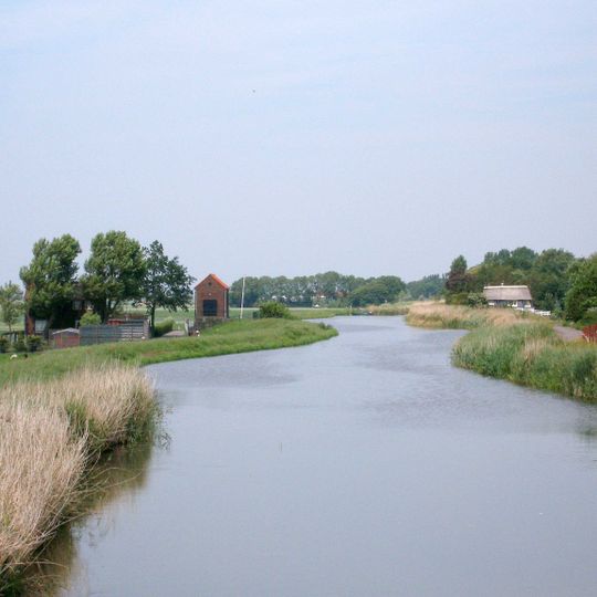 Rotte
