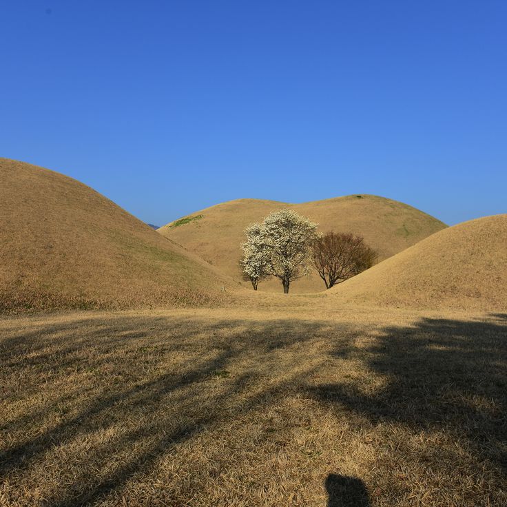 大陵苑古墳群