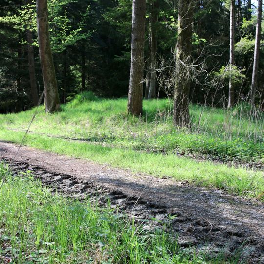 Cultural heritage D-1-7633-0027 in Schwabhausen