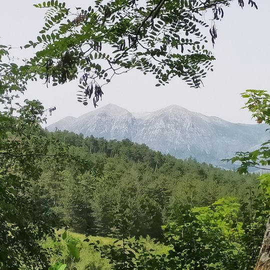 Riserva naturale guidata Monte Salviano