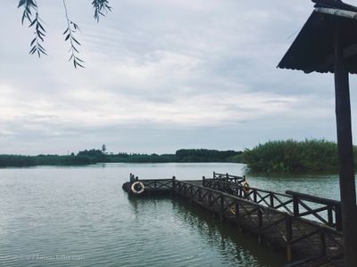 Immagine alternativa