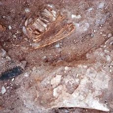 Lehner Mammoth-Kill Site