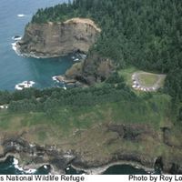Cape Meares