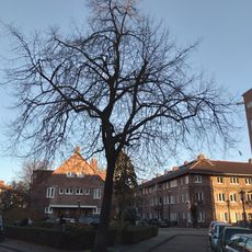 Oorlogsmonument Harmoniehof