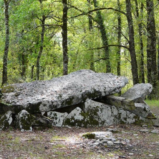 Dolmen de Peyrelevade
