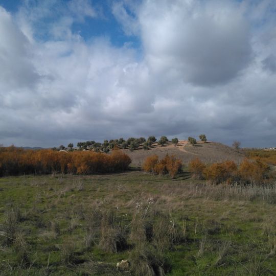 Paraje natural Cola del embalse de Bornos