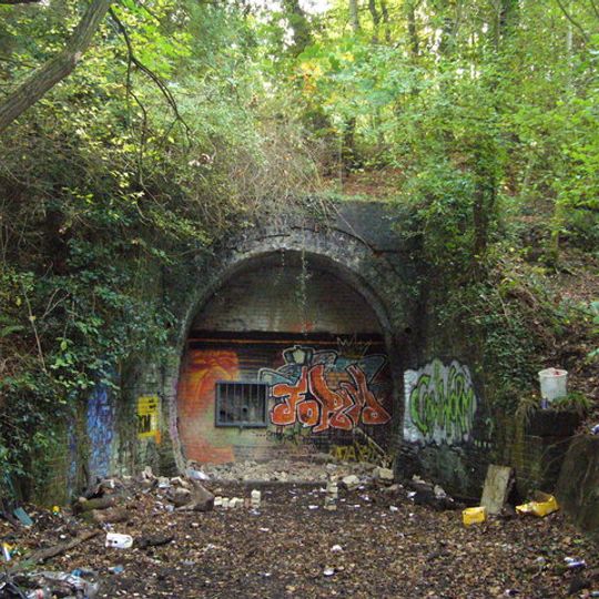 Tyler Hill Tunnel