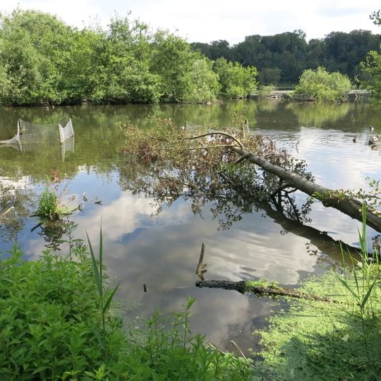 Vogelschutzgebiet Heisinger Bogen