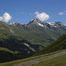 Sazmartinshorn