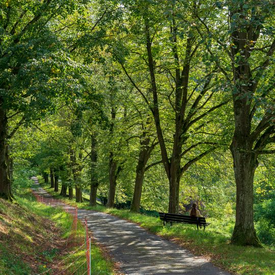 Jagsttal mit Nebentälern und angrenzenden Gebieten in der Gemeinde Schöntal