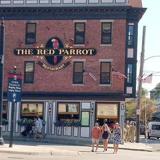 The Red Parrot