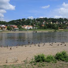 Dresdner Elbwiesen und -altarme