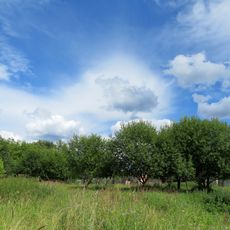 Парк (Троицкое)