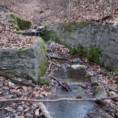 Naturdenkmal Quelle Tannenwald, Walddistrikt I