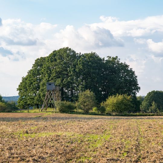 Baumgruppe am Kulturdenkmal Turmhügel