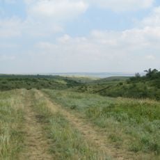 Kalynivs'kyj botanical reserve