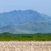 Altay Krayı