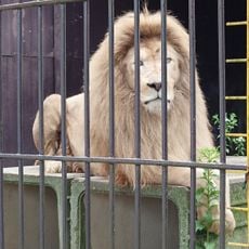 サル劇場エリア