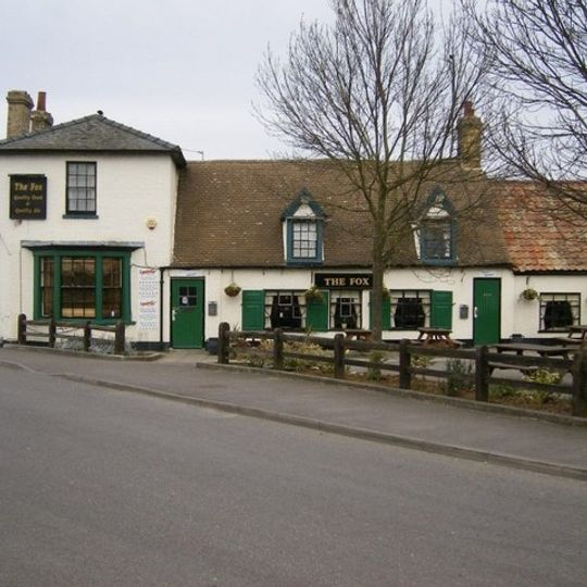 The Fox