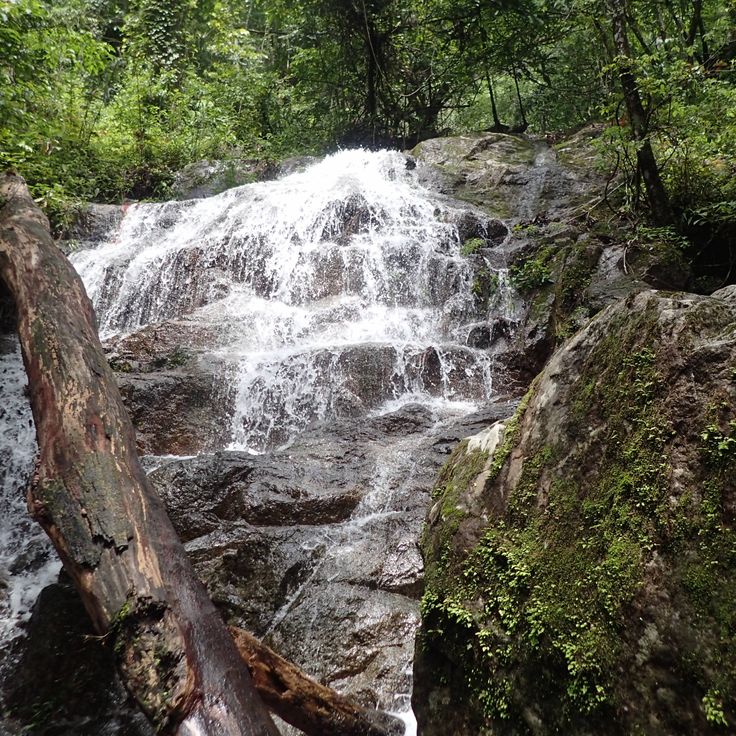 Afi Wildlife Sanctuary