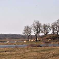 Réserve naturelle nationale de Chérine