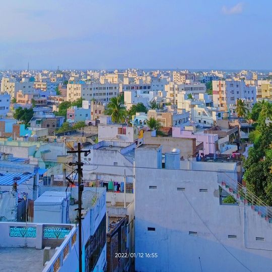 Ongole