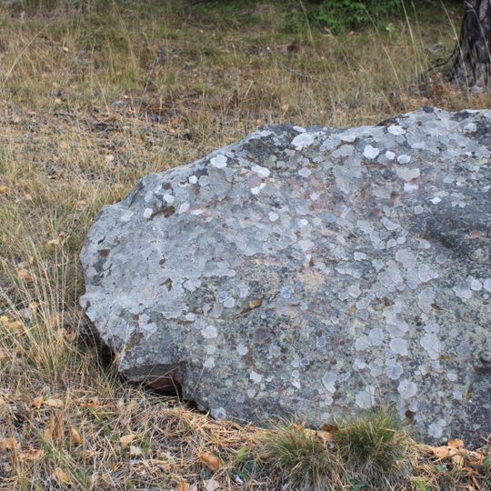 Södermanlands runinskrifter 381