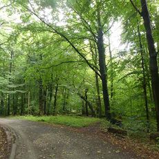 Landschaftsschutzgebiet Königsdorfer Wald