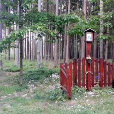 Obrázek v lese západně od Týna nad Vltavou