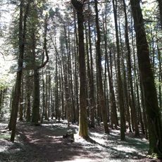 Riserva naturale Collemeluccio