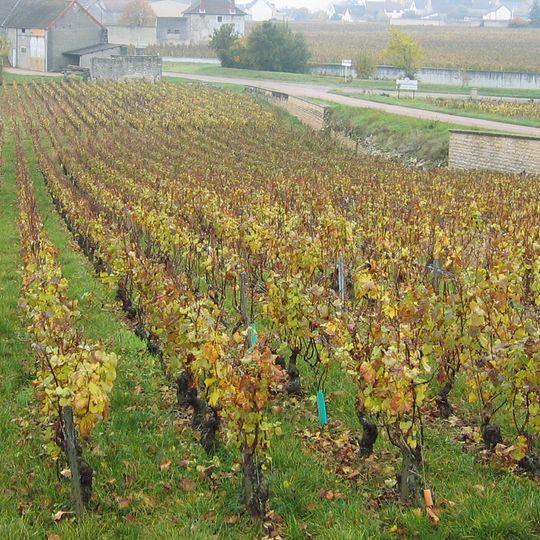 Criots-Bâtard-Montrachet