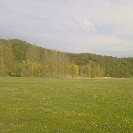 Szászhermányi láp