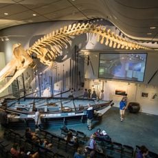 Nantucket Whaling Museum