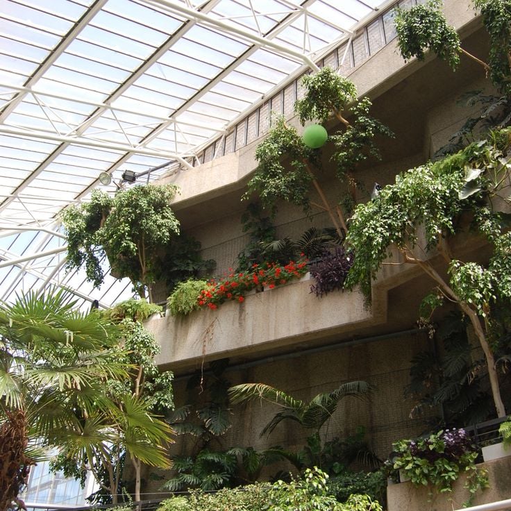 Barbican Conservatory