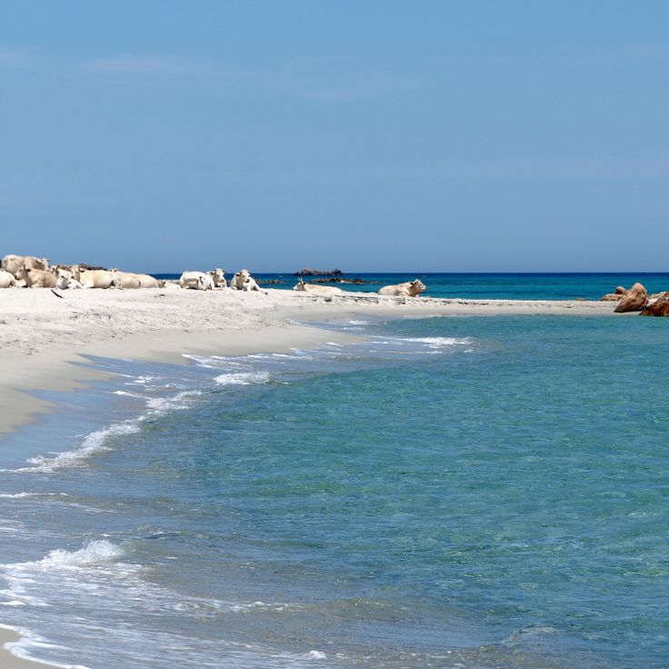 Bidderosa Nature Reserve