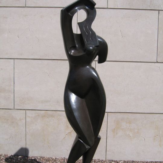 Woman Combing Her Hair