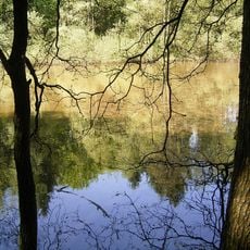 Wipperaue Eulenbecke