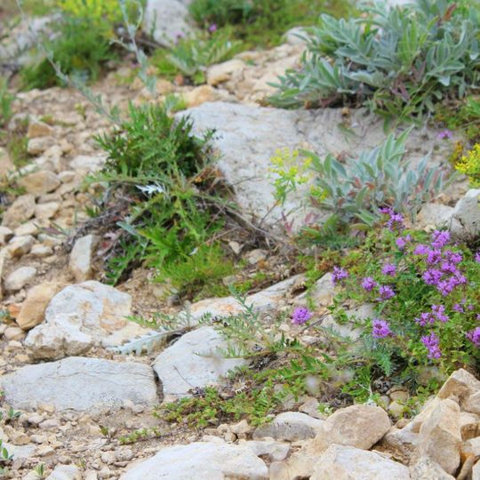 Samarskaya Luka National Park