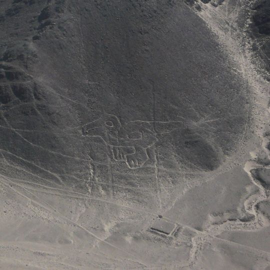 Géoglyphe Bébé condor de Nazca