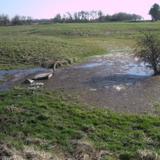 Richardson medieval settlement