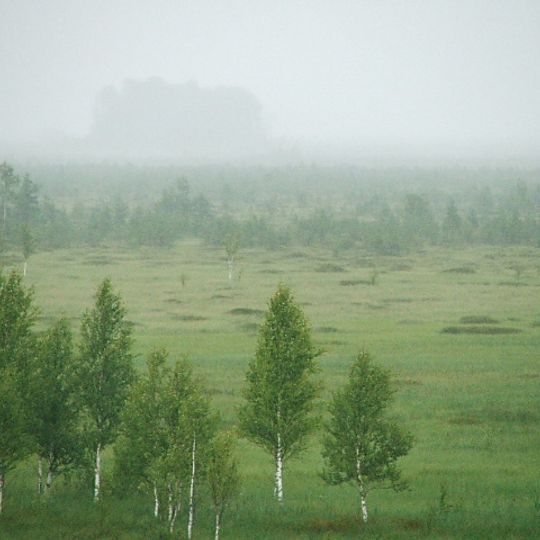 Polistovsky Nature Reserve