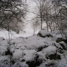 Brudberget
