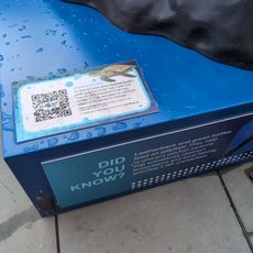 Obra de arte, escultura